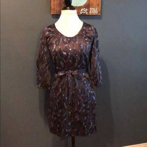 | Express | Shirt Dress